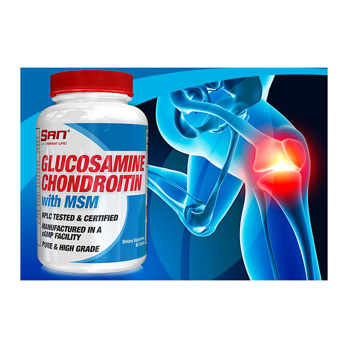 Glucosamine Chondroitin with MSM 90 tabs
