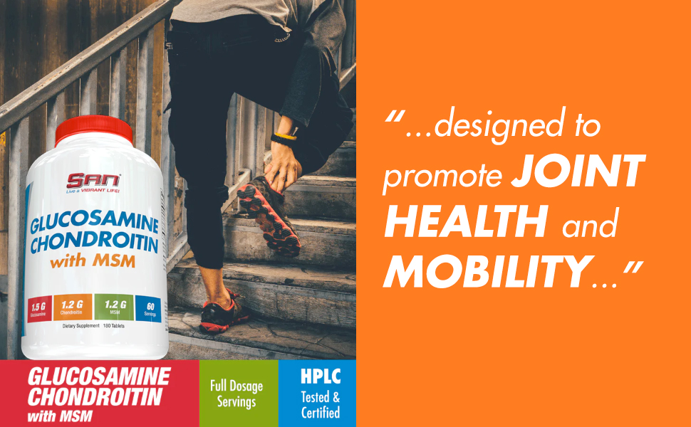Amazon.com: SAN Nutrition Premium Glucosamine Chondroitin with MSM Complex  for Joint Support - Natural Formula for Healthy Joints and Mobility. 30  Servings : Health & Household